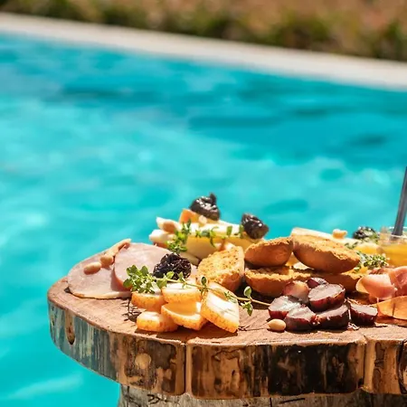 Quinta Dos Padres Santos, & Lantgård Lamego