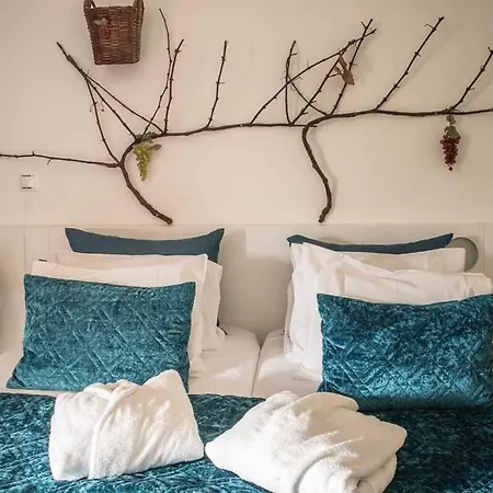 Quinta Dos Padres Santos, & Lamego