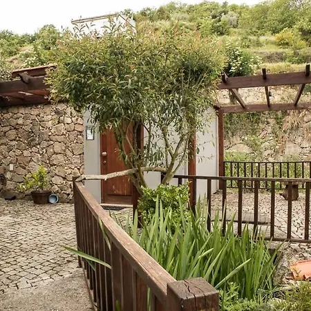 Séjour à la ferme Quinta Dos Padres Santos, & Lamego