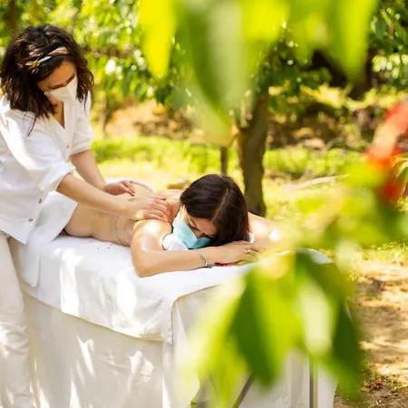 Lantgård Quinta Dos Padres Santos, & Lamego