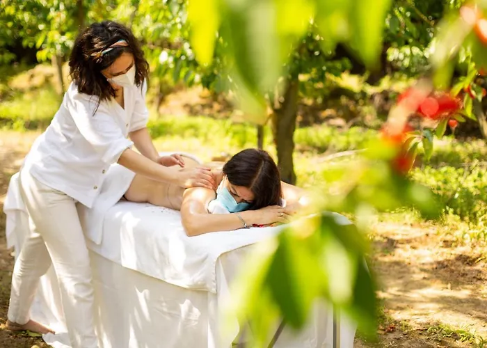 Farmház Quinta Dos Padres Santos, & Lamego